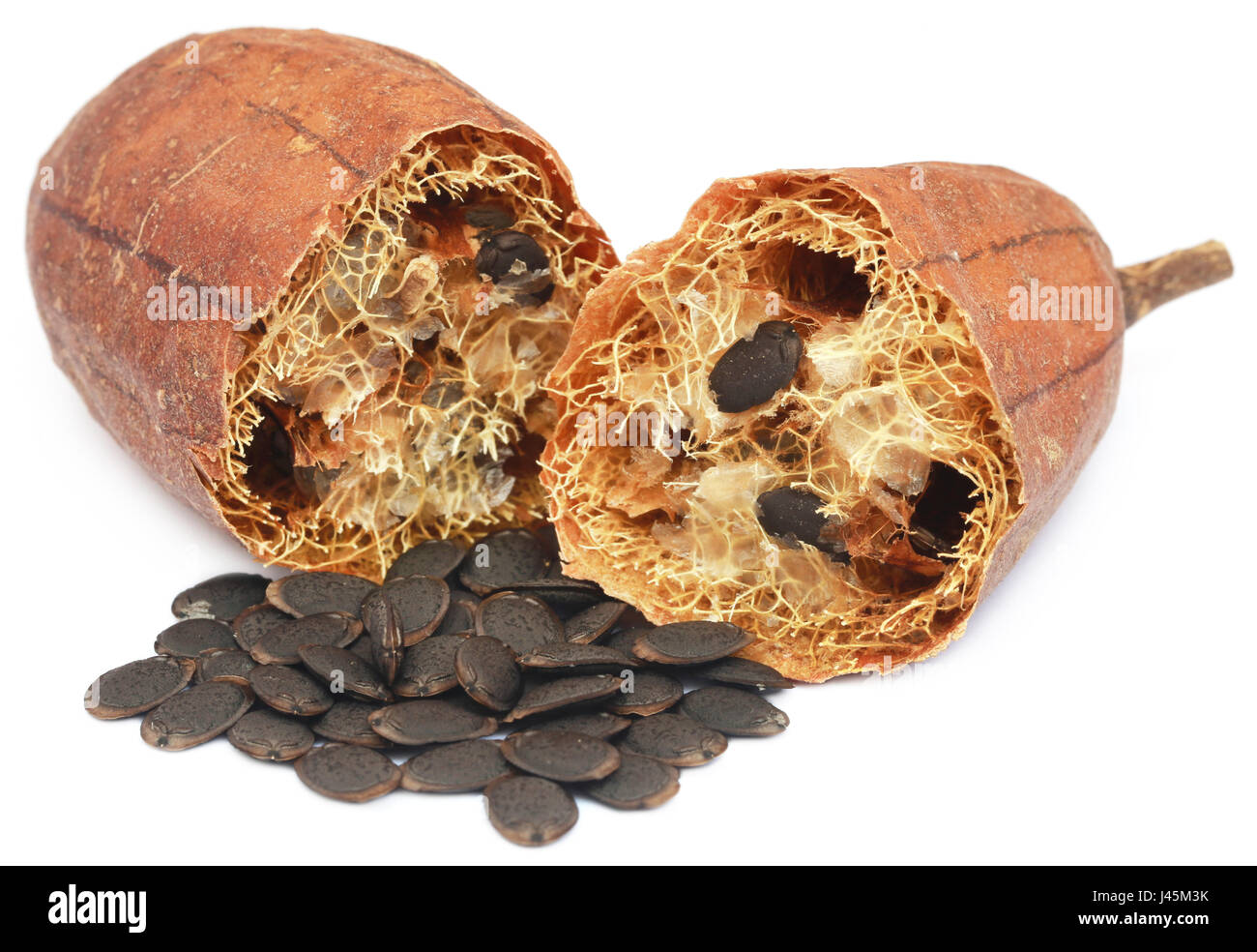 Natural scrubber of dried Ridge gourd with seeds over white background Stock Photo Alamy
