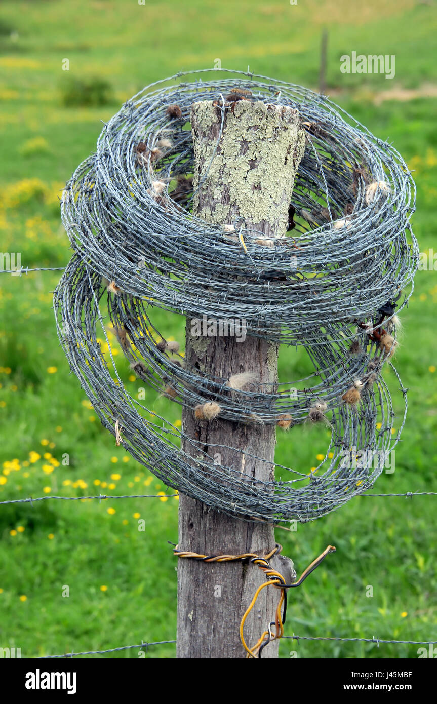 Barbed wire fence cattle farm hires stock photography and images Alamy
