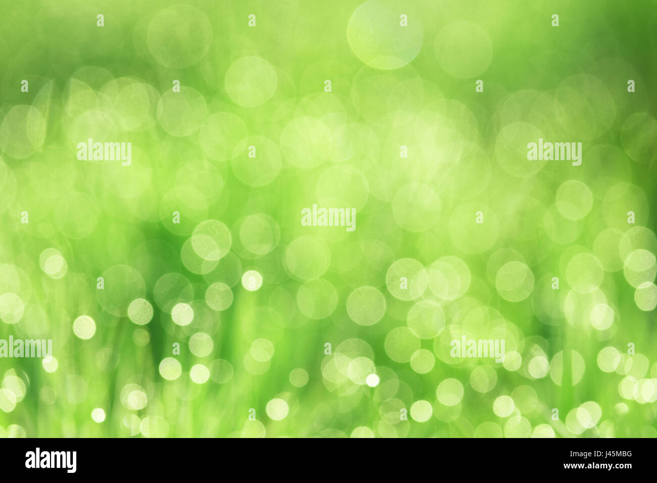 Green abstract background Stock Photo - Alamy