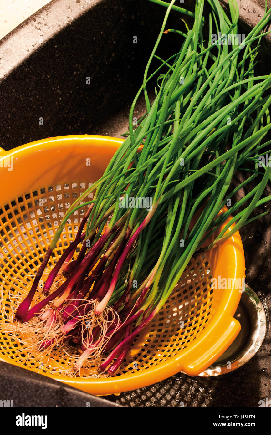 Onion Red Chives Stock Photo Alamy