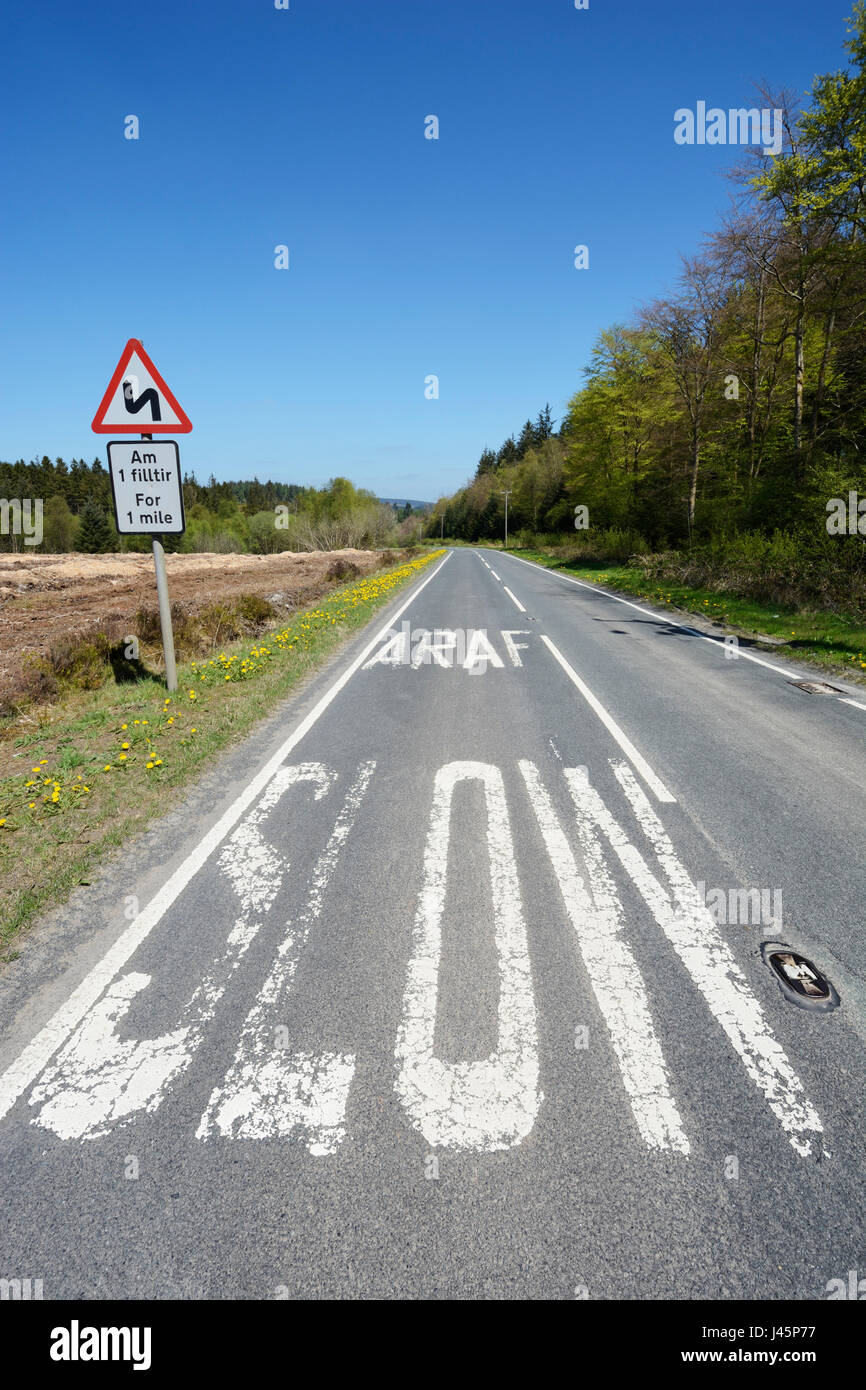 Bilingual sign and road markings in North Wales in both Enlish and Welsh - Saesneg a Cymraeg. Warning sign for bends in the road. Stock Photo