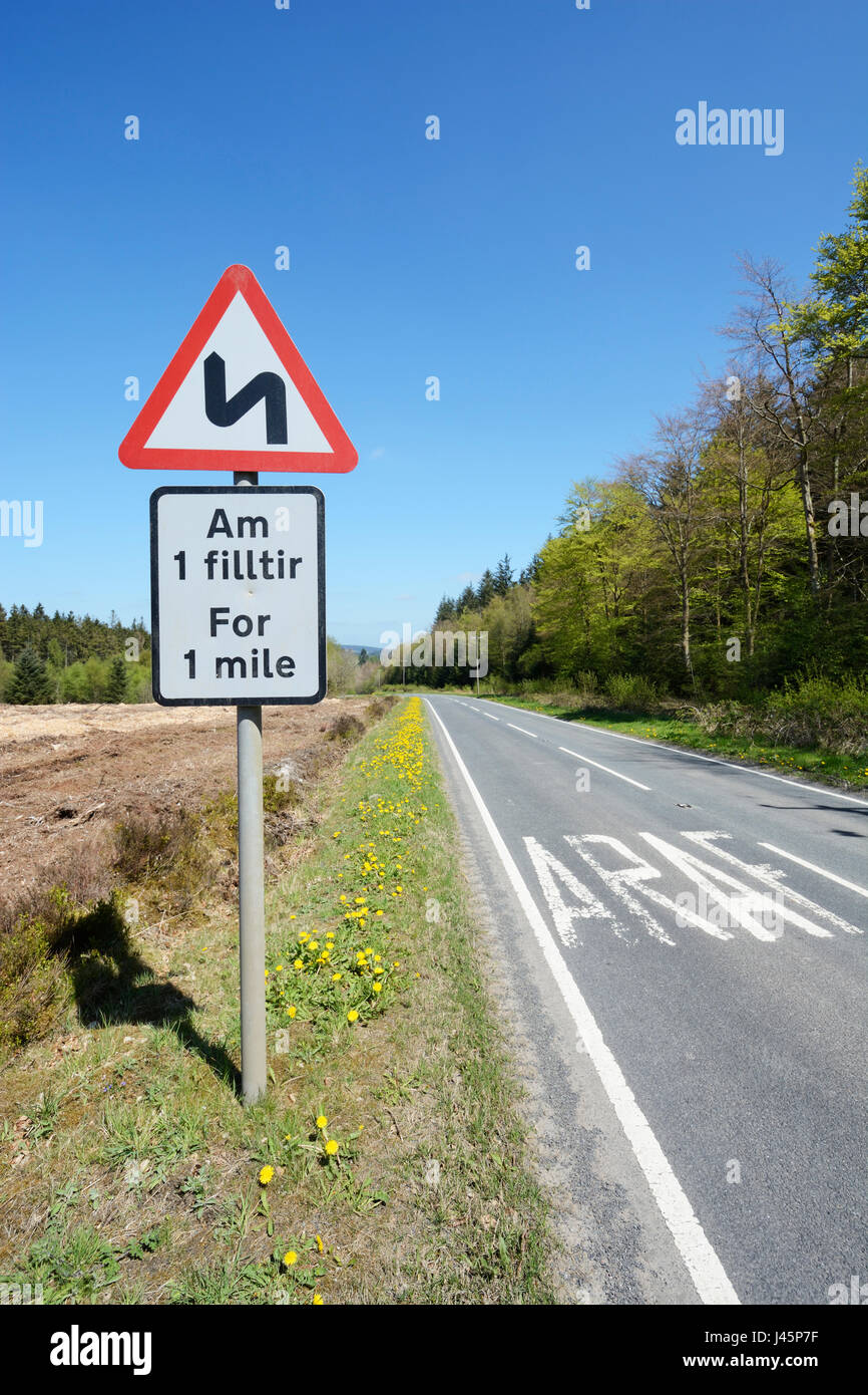 Bilingual sign and road markings in North Wales in both Enlish and Welsh - Saesneg a Cymraeg. Warning sign for bends in the road. Stock Photo