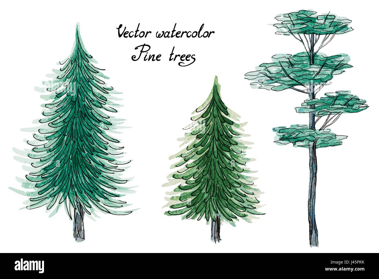 Vector watercolor pine trees Stock Vector
