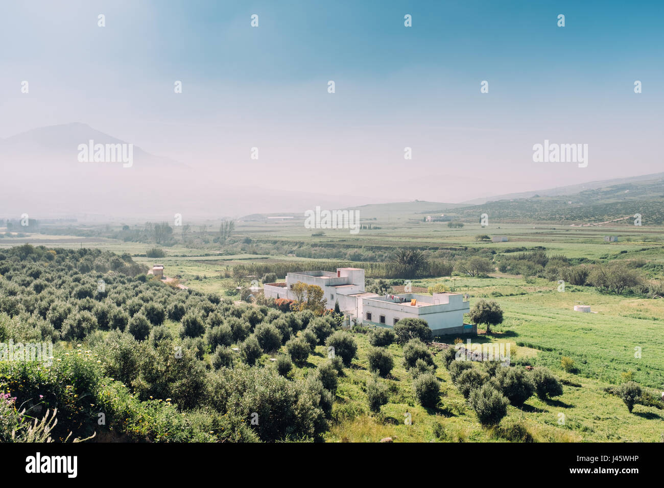 Remote agriculture land in Tetouan, Morocco, Africa Stock Photo Alamy