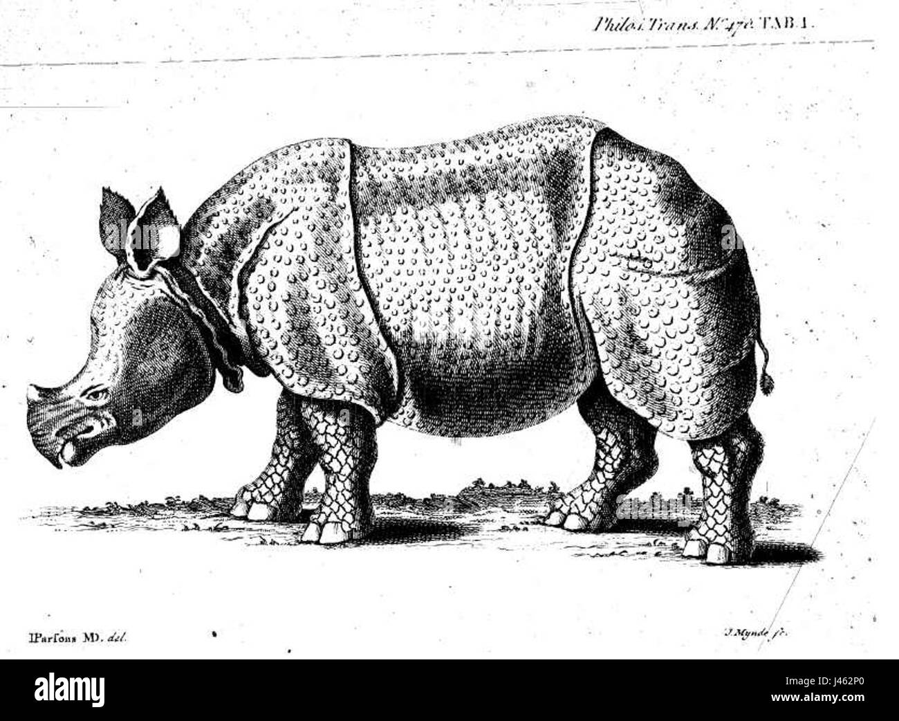 Parsons1 1744 Stock Photo