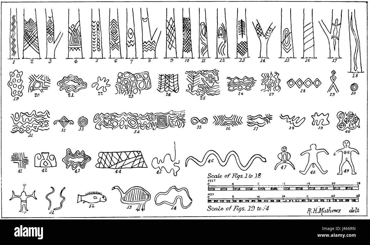 Notes On The Aborigines Of New South Wales Fig 2 Tree - 