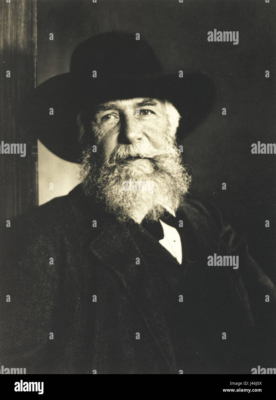 Nicola Perscheid Ernst Haeckel Stock Photo Alamy