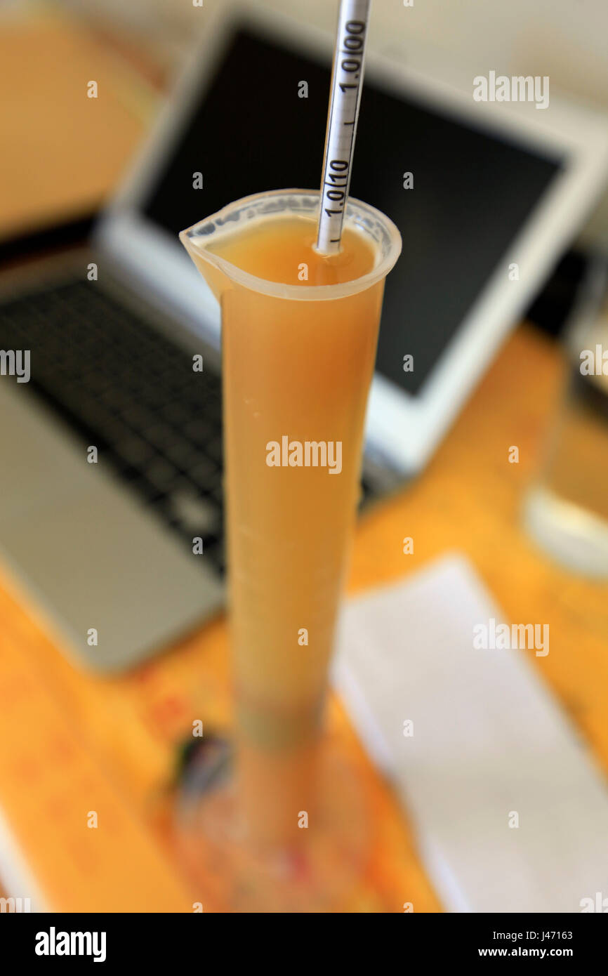 Picture by Tim Cuff - 14 October 2016 - Testing the specific gravity of a brew from Eddyline Brewery, Richmond, Nelson, New Zealand: Stock Photo