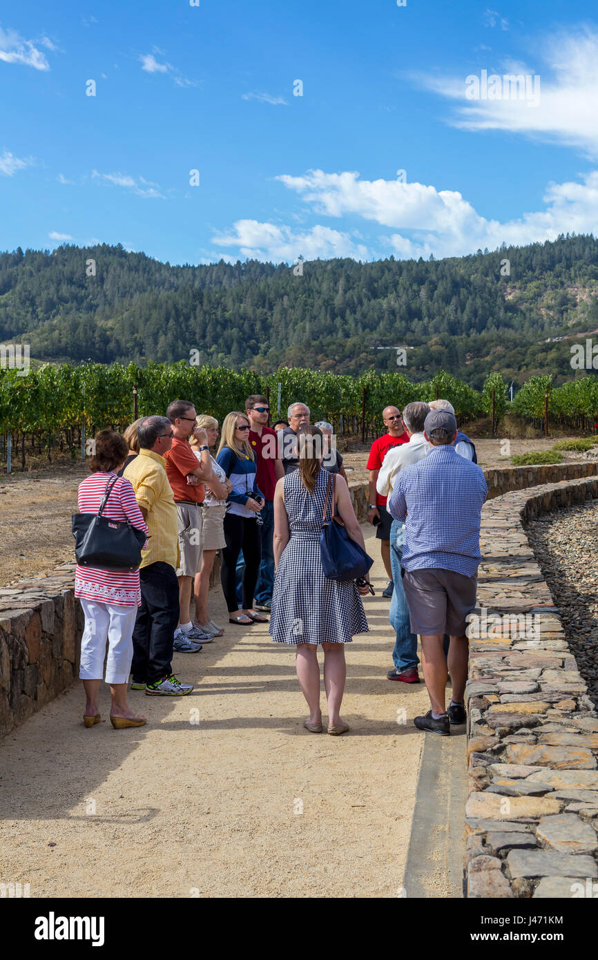 people, tourists, vineyard tour, wine tour, winery tour, Robert Mondavi Winery, Oakville, Napa Valley, Napa County, California Stock Photo