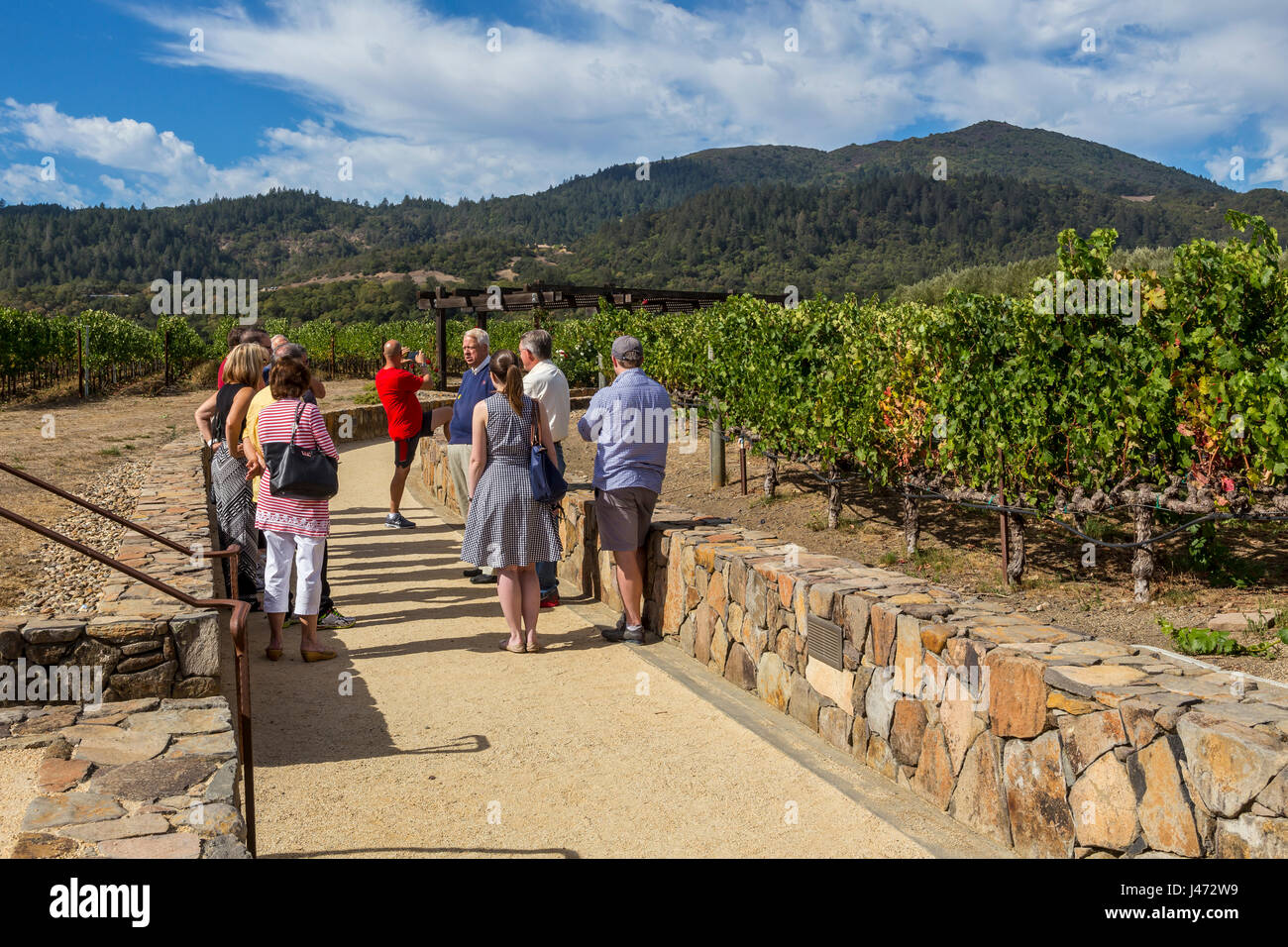 people, tourists, vineyard tour, wine tour, winery tour, Robert Mondavi