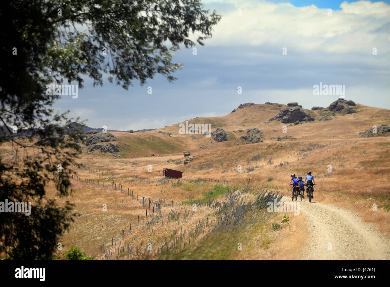 Picture by Tim Cuff - 18-23 December 2016 - Otago Rail Trail, New Zealand: Riding through the windswept grasslands of the Manuherikia Valley, day 1 Stock Photo