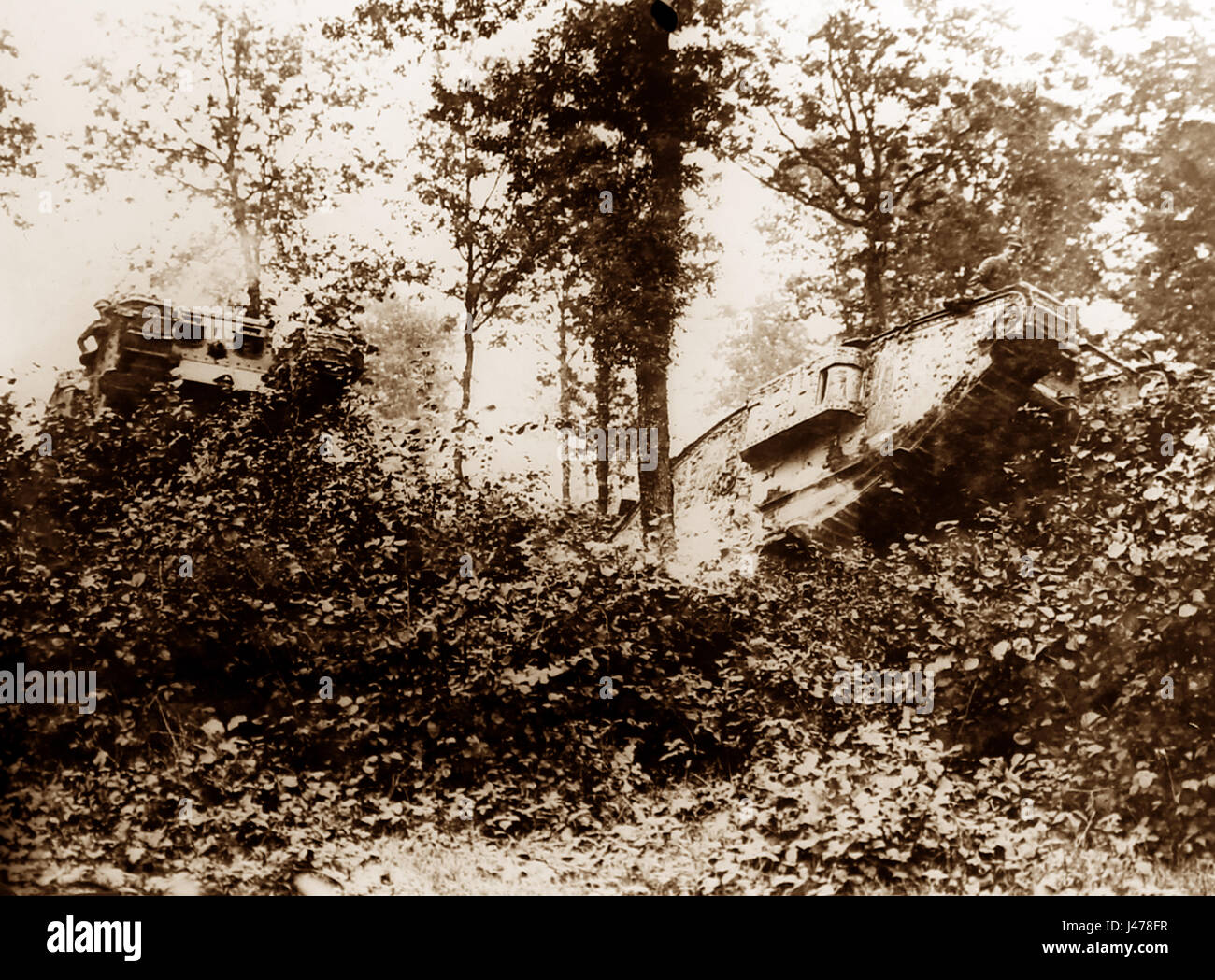WW1 - Two tanks passing through Oosthoek Wood near Elverdinge - 11th september 1917 Stock Photo