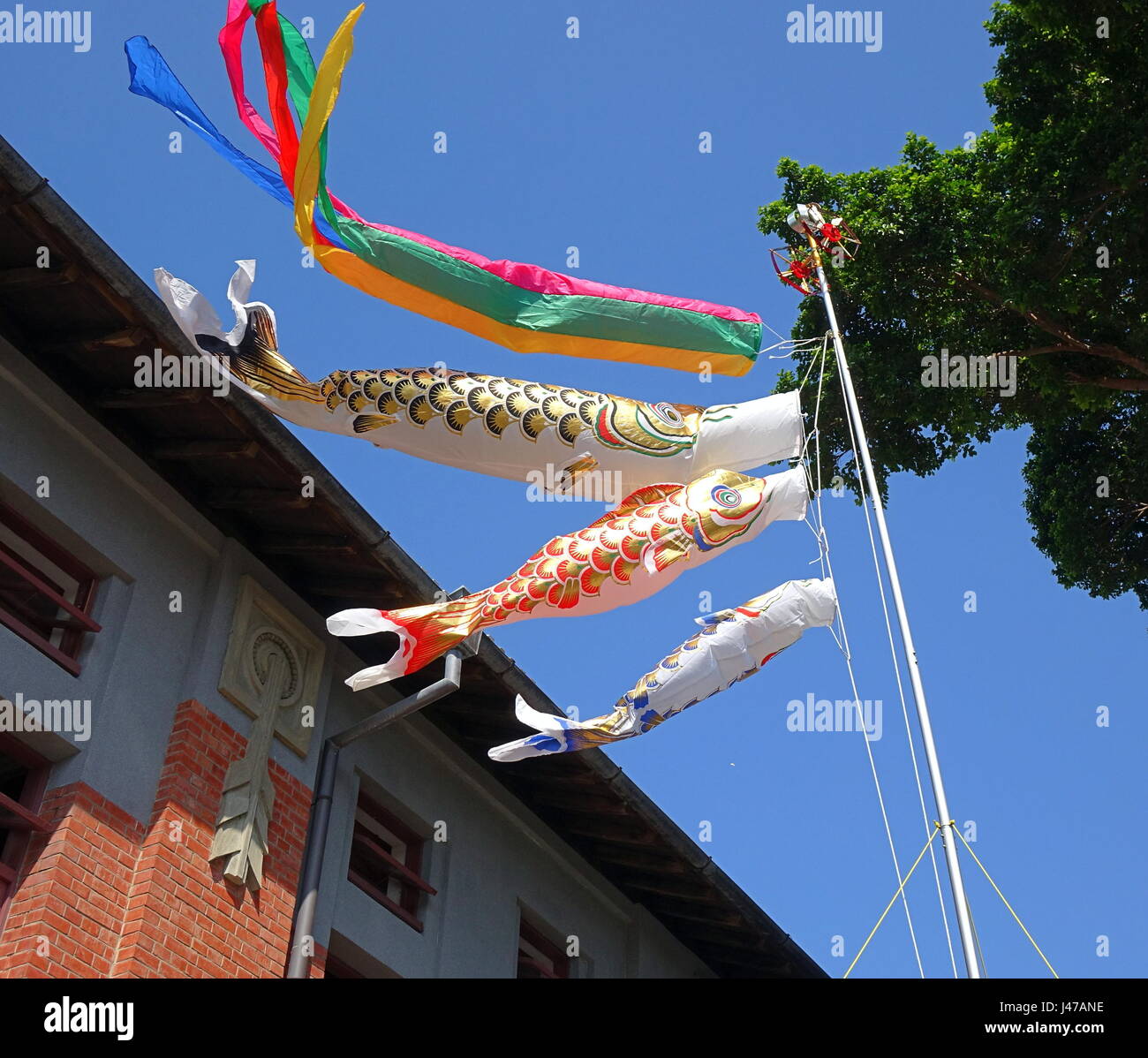 Traditional Koinobori streamers in the shape of fish to celebrate