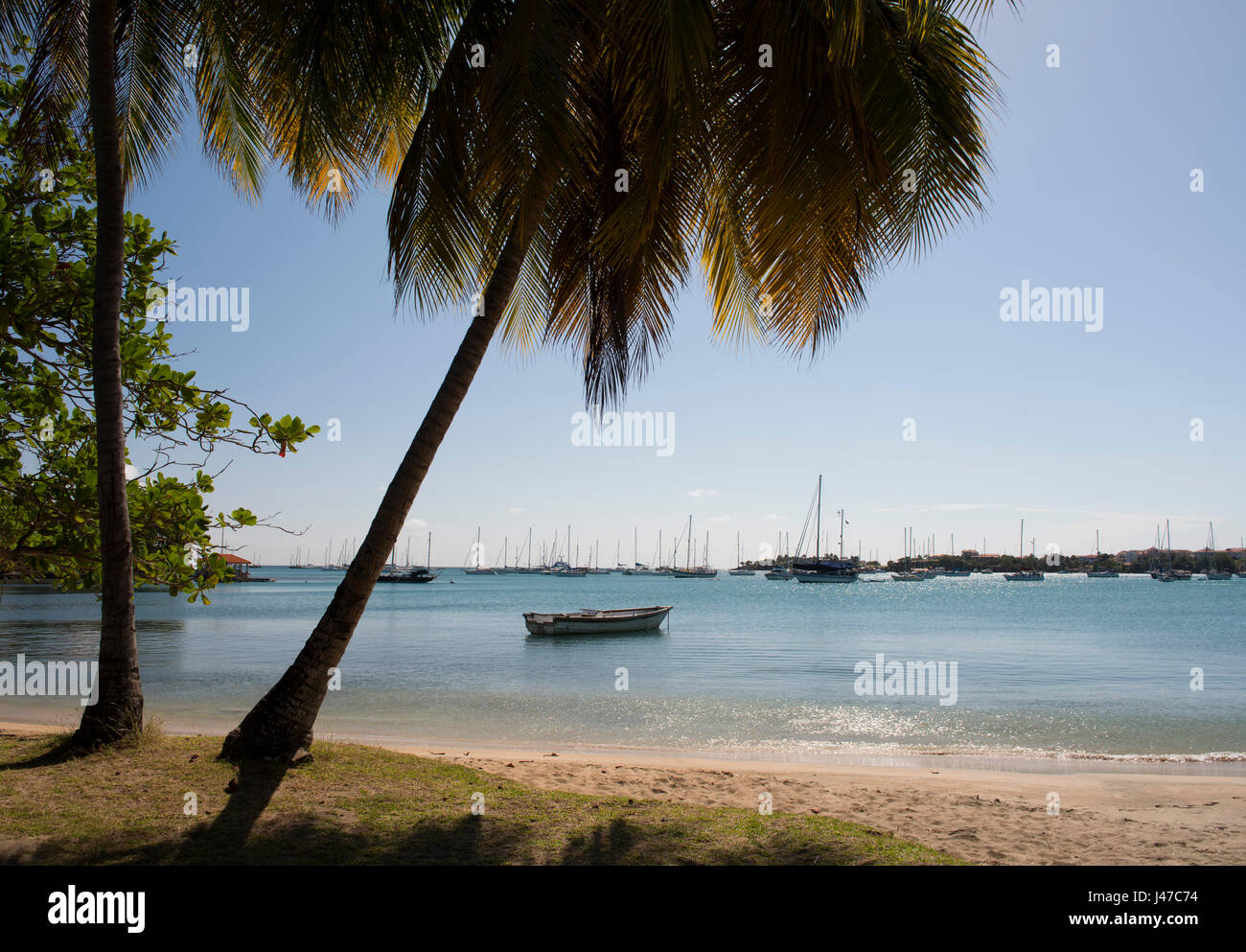 Palm trees and yachts in the harbour at Prickly Bay in Southwestern Grenada,  West Indies, The Caribbean Stock Photo