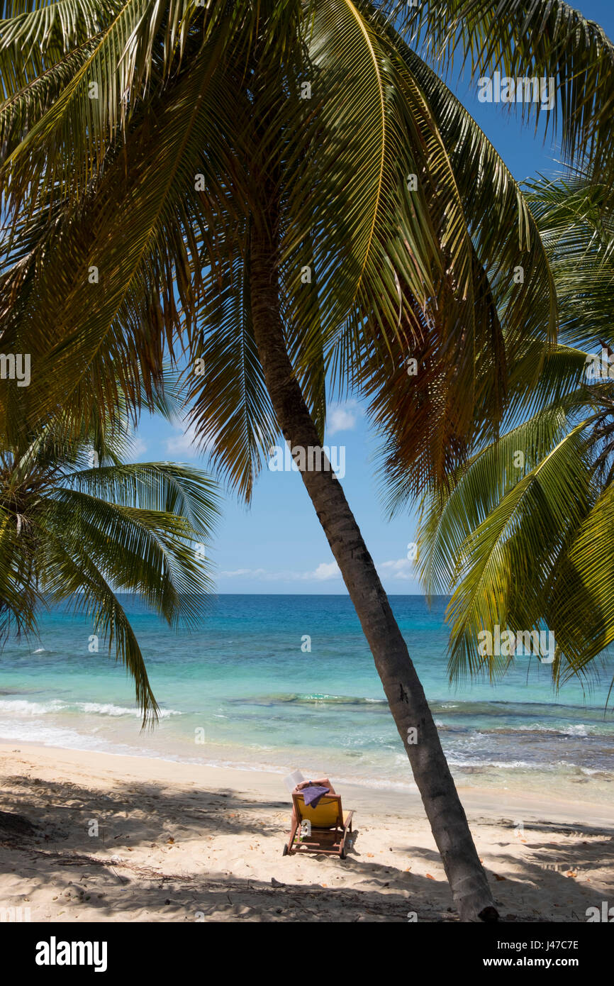 A woman in a beach chair reading beneath tall palm trees on Magazin Beach overlooking the sea in Grenada,  West Indies, The Caribbean Stock Photo