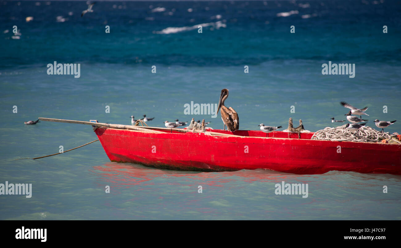 Pelican on a fishing boat hi-res stock photography and images - Alamy