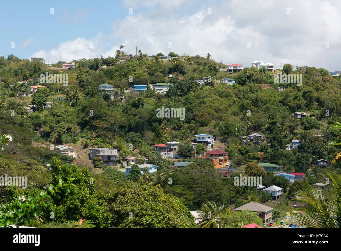 Colourful houses on a lush green hillside in southwest Grenada, West Indies, Caribbean Stock Photo