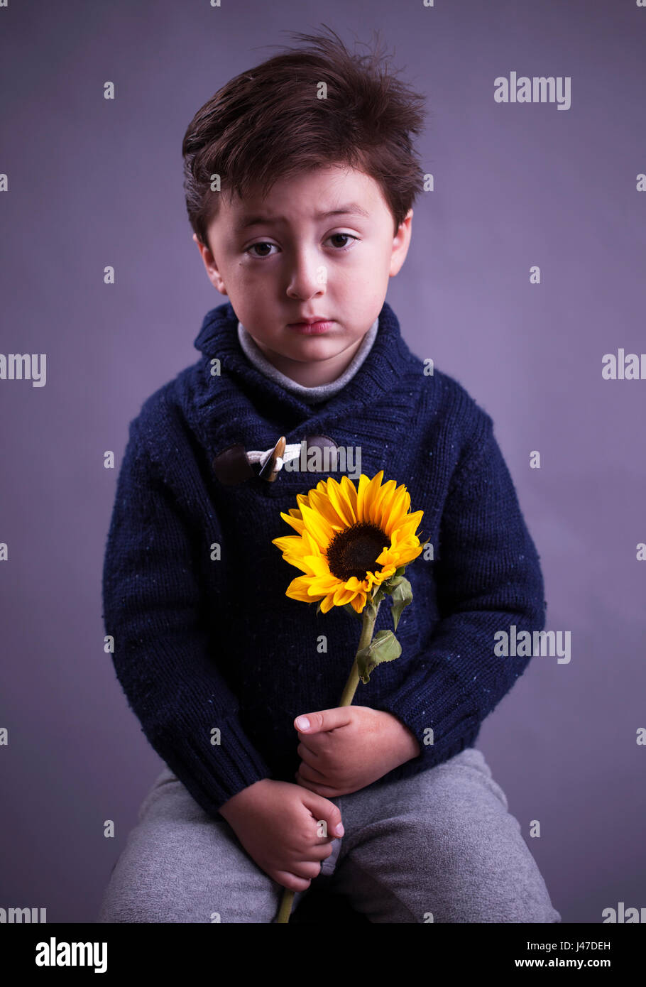 serious looking mixed race Asian Caucasian little boy with brown hair wearing a knitted blue sweater holding a large yellow sunflower Stock Photo