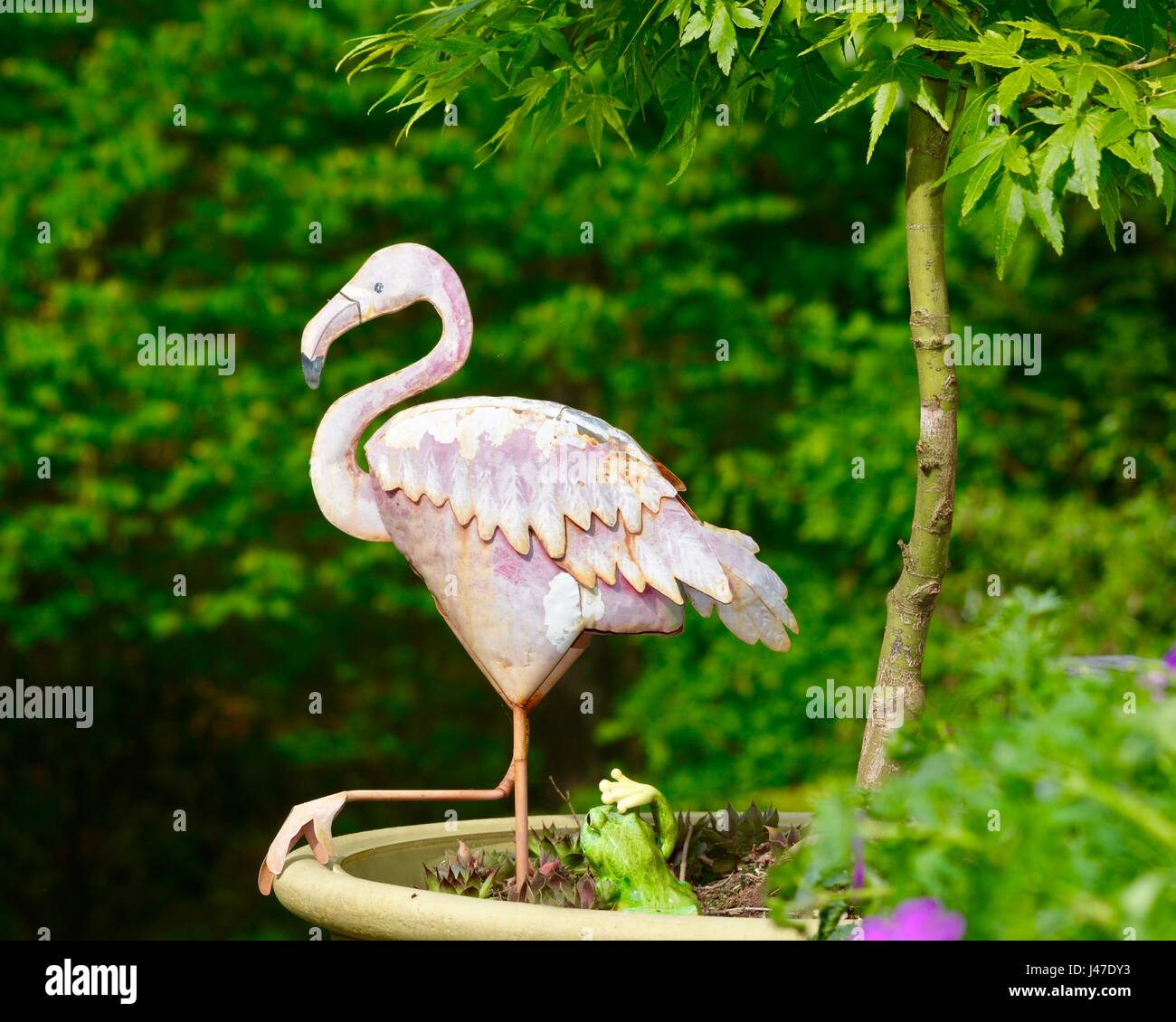 Flamingo hotel hi-res stock photography and images - Alamy