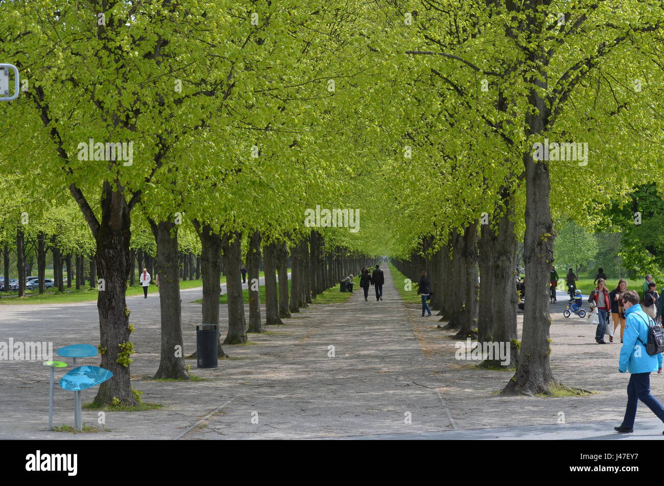 Foot path in Hannover - Germany Stock Photo - Alamy