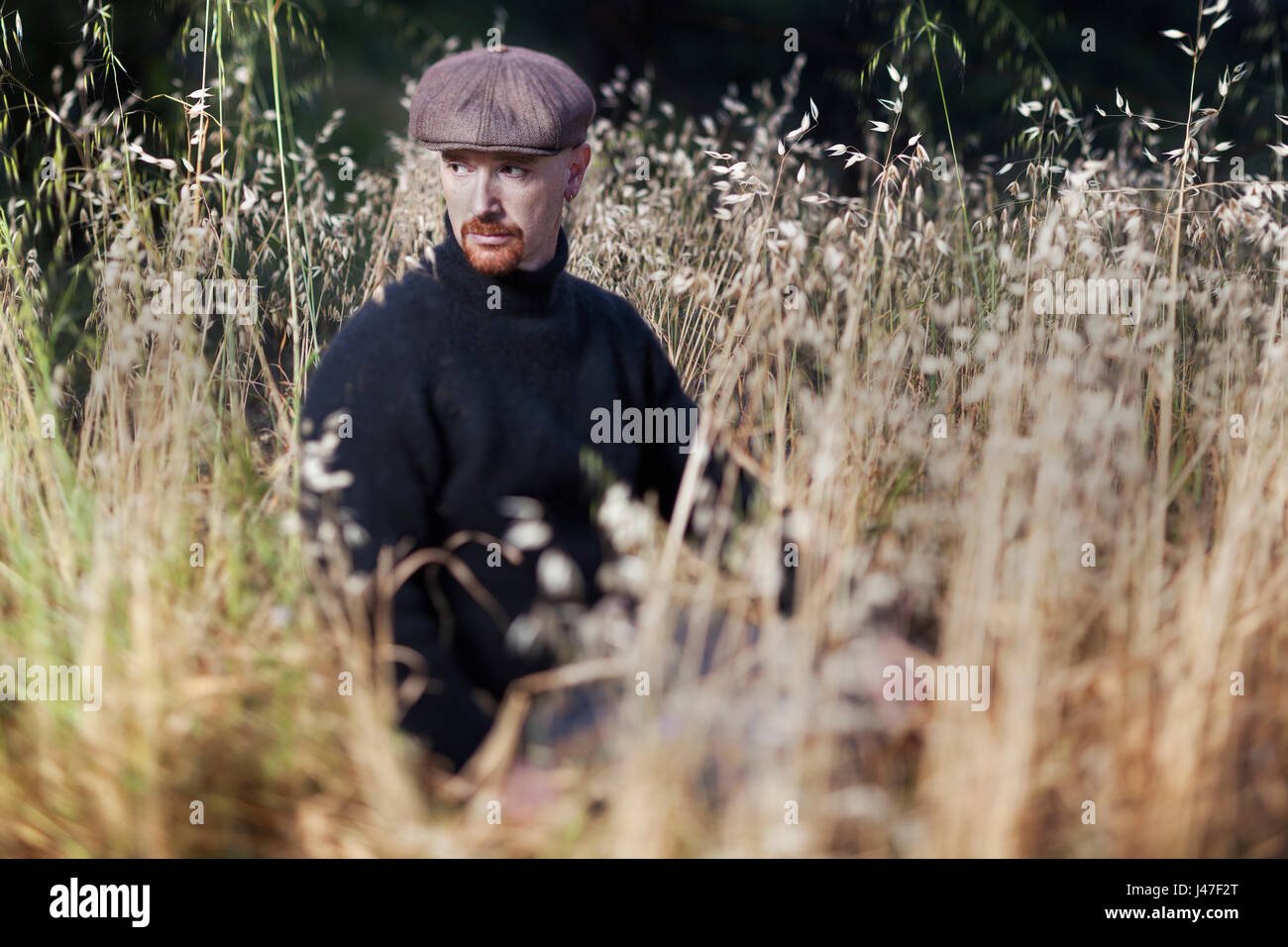 Man with red goatee wearing black turtleneck fisherman's sweater and brown newsboy cap sitting in a golden field of wheat at sunset Stock Photo