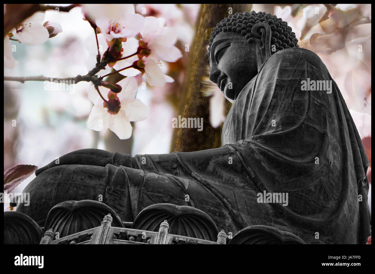 Buddha statue, flower background. Art and spiritualism Stock Photo