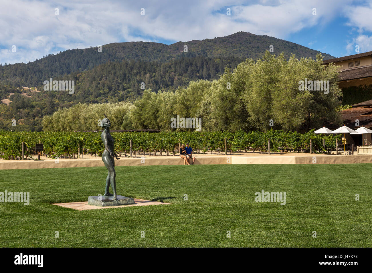people, tourists, artwork, garden, grape vineyard, vineyard, Robert Mondavi Winery, Oakville, Napa Valley, Napa County, California Stock Photo