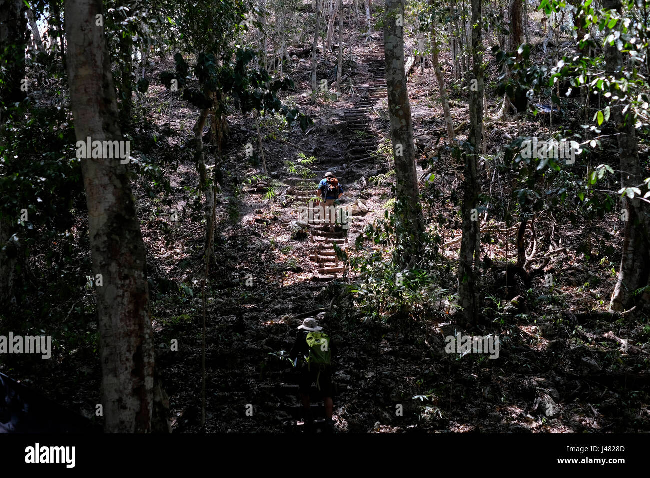 A hiker climbing an ancient triadic pyramid of the Preclassic Maya ...