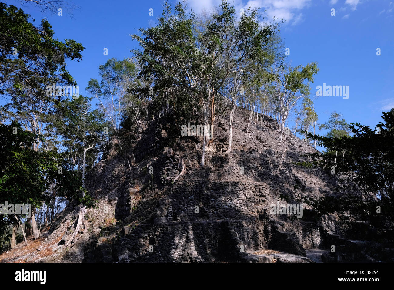 View of El Dante the largest triadic pyramid structure ever build in the Maya world still partly covered by trees, rises over the jungle canopy at El Mirador a large pre-Columbian Maya settlement, located in a remote site deep in the jungle in the north of the modern department of El Peten, Guatemala Stock Photo