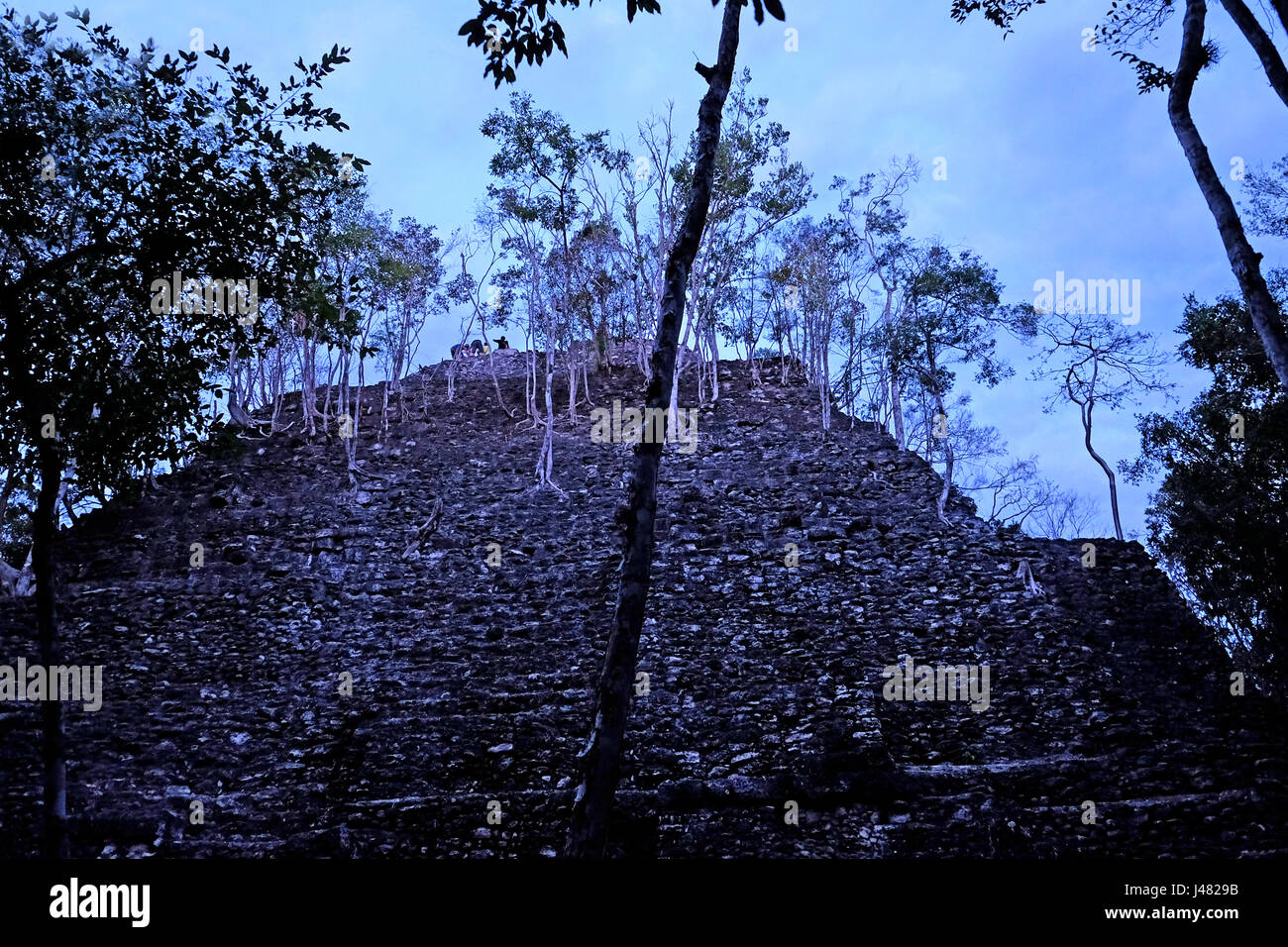 View of El Dante the largest triadic pyramid structure ever build in the Maya world still partly covered by trees, rises over the jungle canopy at El Mirador a large pre-Columbian Maya settlement, located in a remote site deep in the jungle in the north of the modern department of El Peten, Guatemala Stock Photo