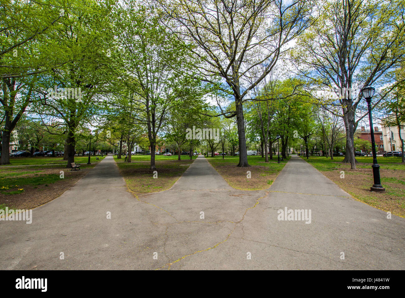 Historic District of Court Street in Wooster Square in New Haven