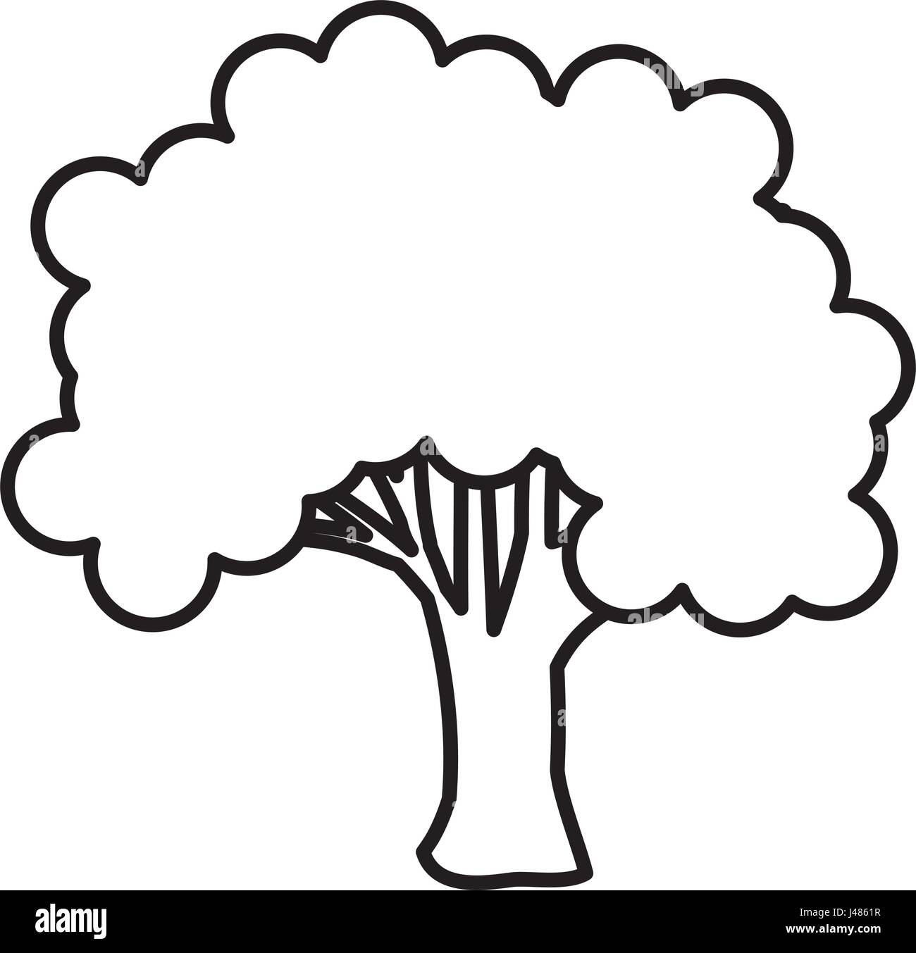 tree plant nature isolated icon Stock Vector Image & Art - Alamy