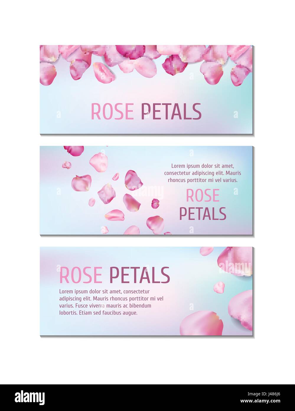 Falling blue rose flower petals hi-res stock photography and images - Alamy