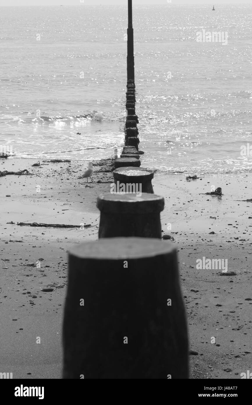 A day out at Teignmouth Beach Stock Photo