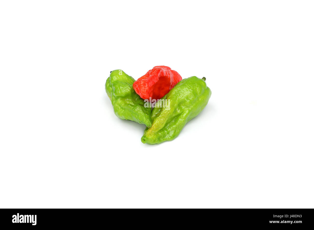 Fresh Bhut Jolokia chili pepper or Naga Morich over white background Stock Photo