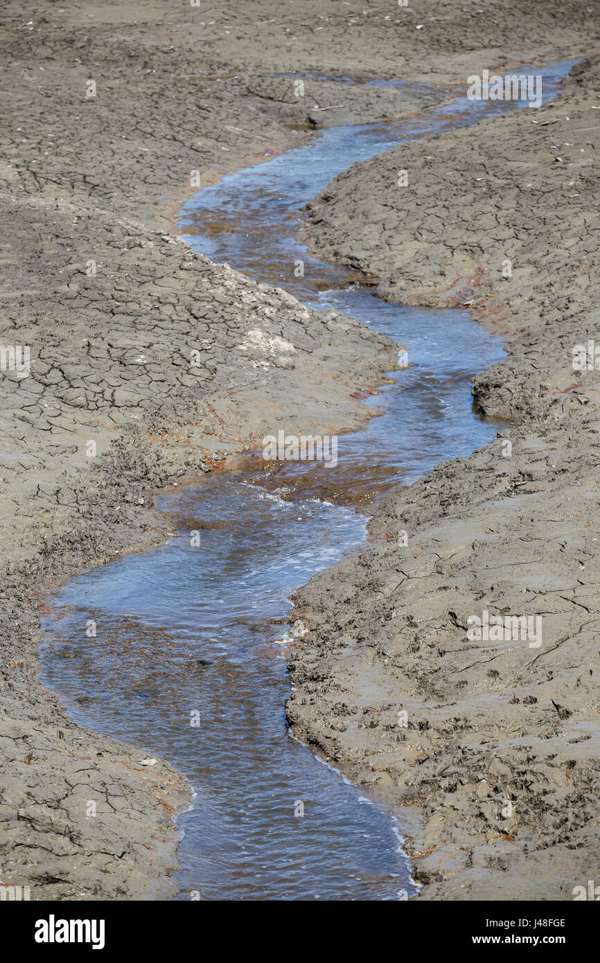 Meandering water stream flowing through a dry pond Stock Photo - Alamy