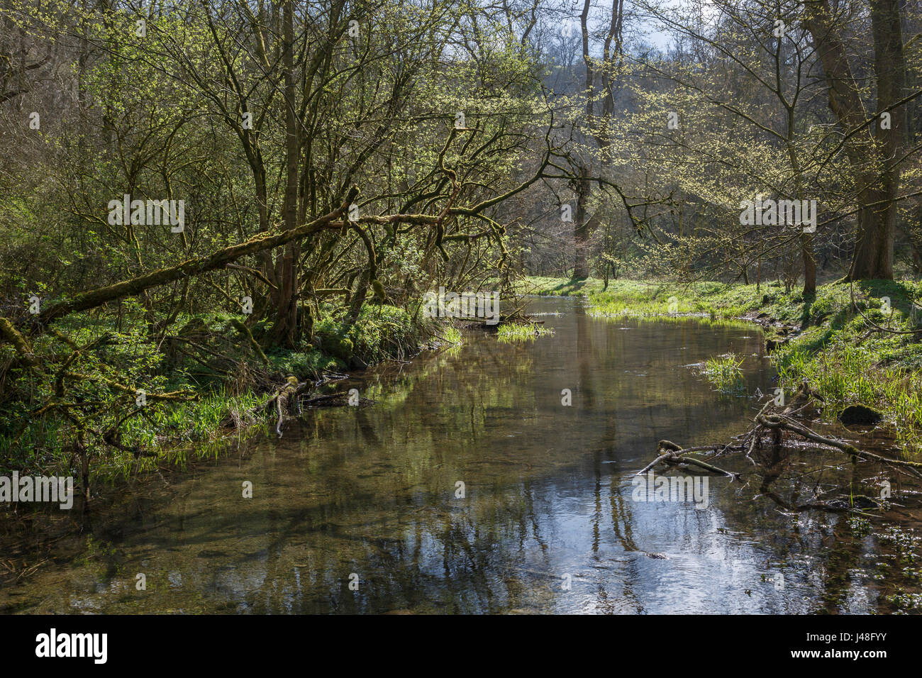 Lathkill Dale, Peak District National Park, Derbyshire, England Stock Photo