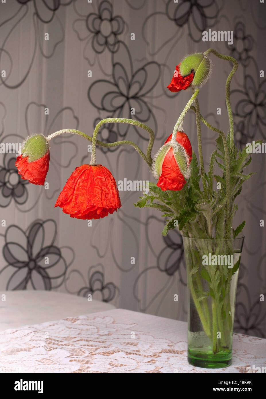 A beautiful bouquet of red poppies in a vase on blurred background ...