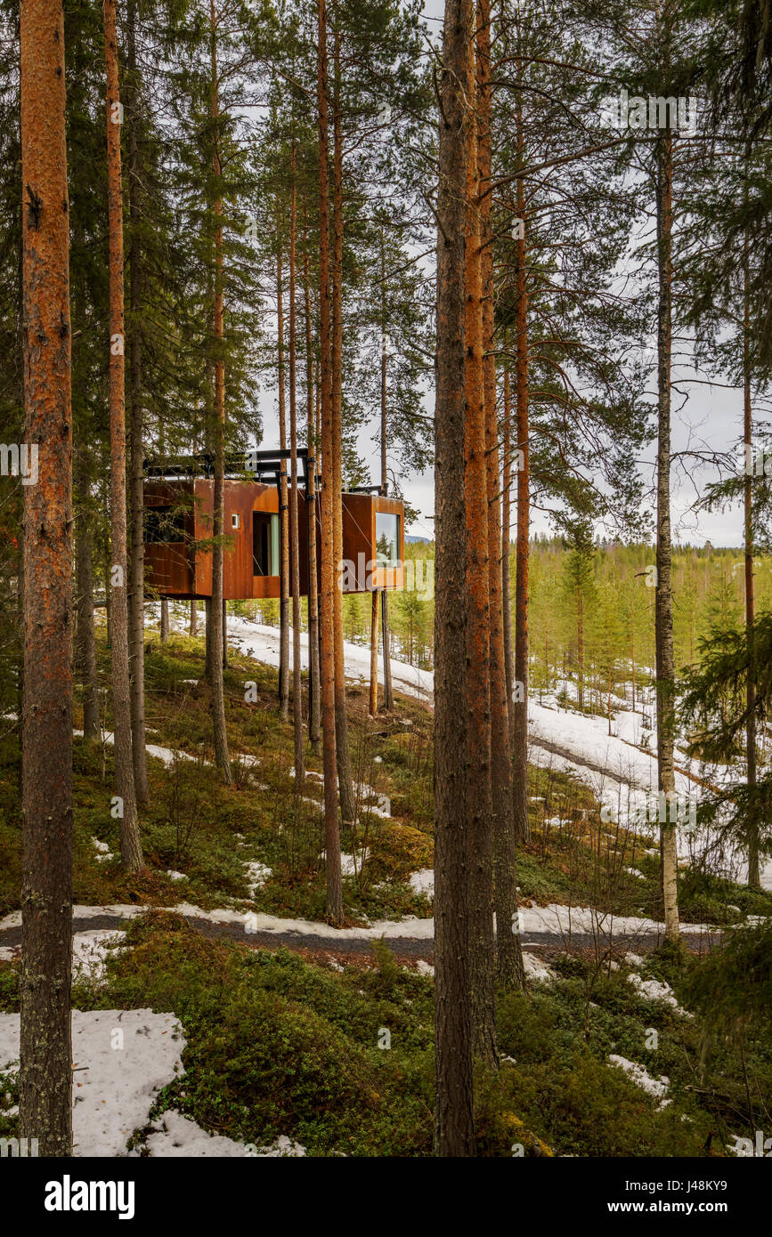 in the woods, known as The Dragon Fly at the Tree Hotel