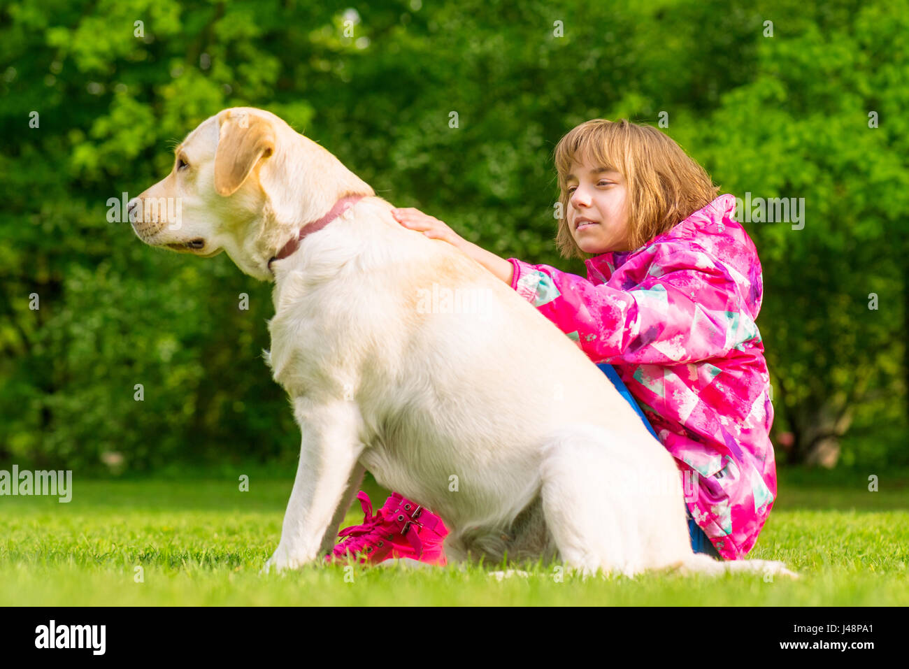 Girl with labrador retriever dog Stock Photo Alamy