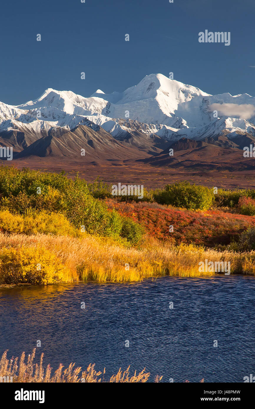 Denali mountain clear hi-res stock photography and images - Alamy, image size:866x1390