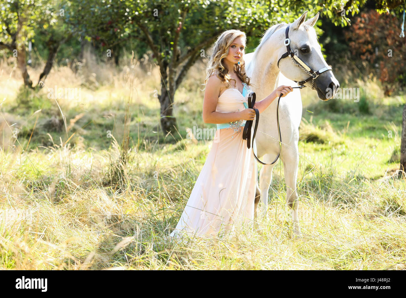 american girl white horse