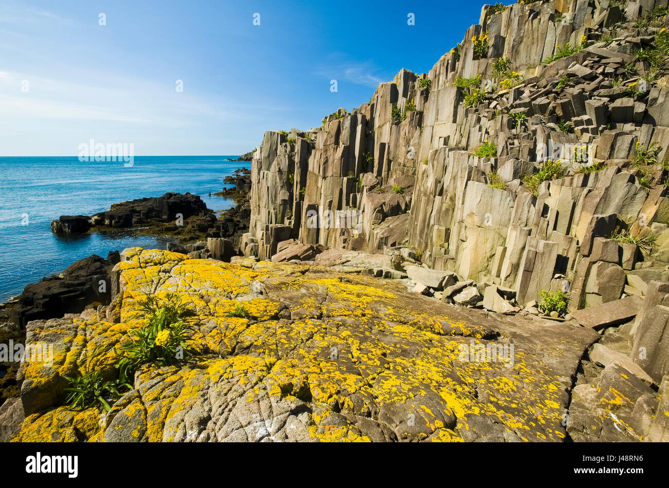 Basalt rock cliffs, Bay of Fundy; Brier Island, Nova Scotia, Canada Stock Photo