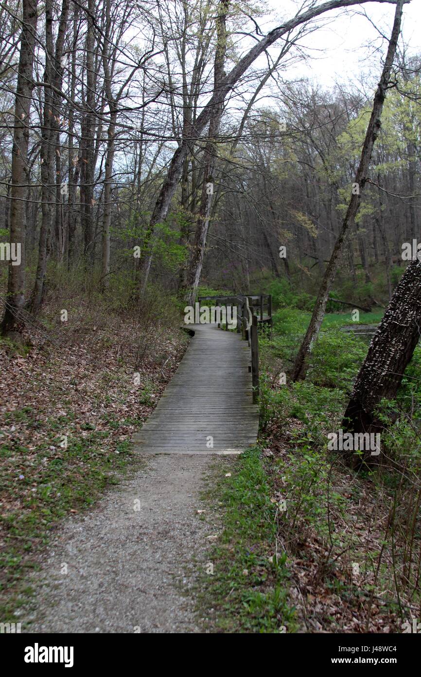 The trails and the forest along with the views of river,lake and pond. Stock Photo
