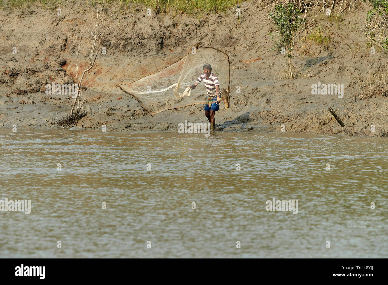 Fishery in Bengal Stock Photo Alamy