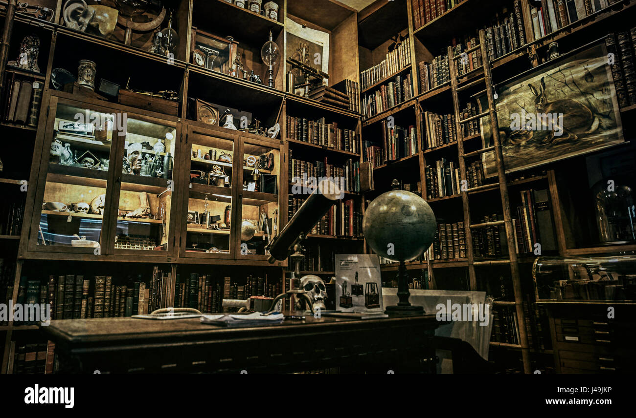 Cabinet de Curiosité: elegant bookcase