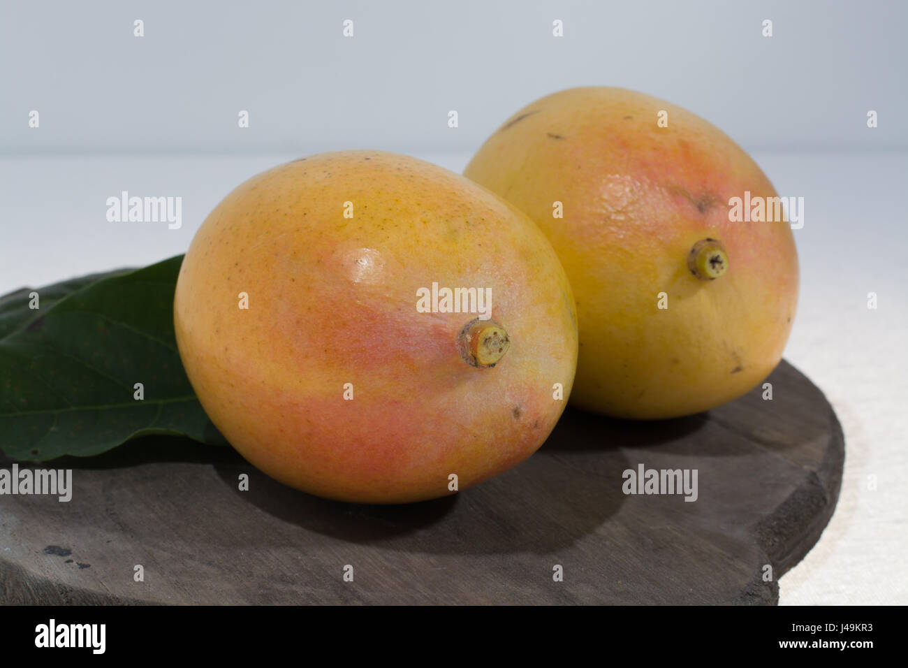 Two ripe organic golden yellow mangoes ready to eat close up Stock ...