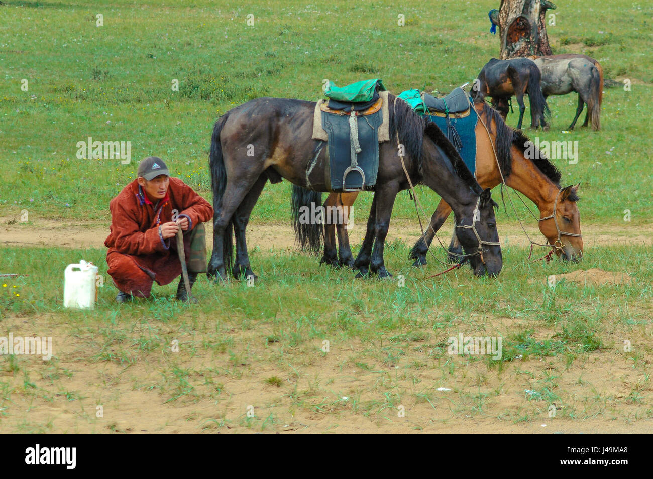 Mongolian shepherds with horses in the steppe Stock Photo - Alamy
