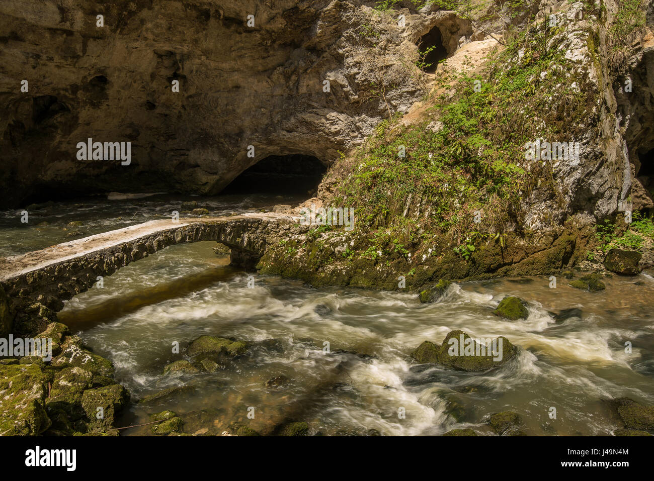 Scenic underground river Rak in Unesco protected national park Rakov Skocjan in Slovenia Stock Photo
