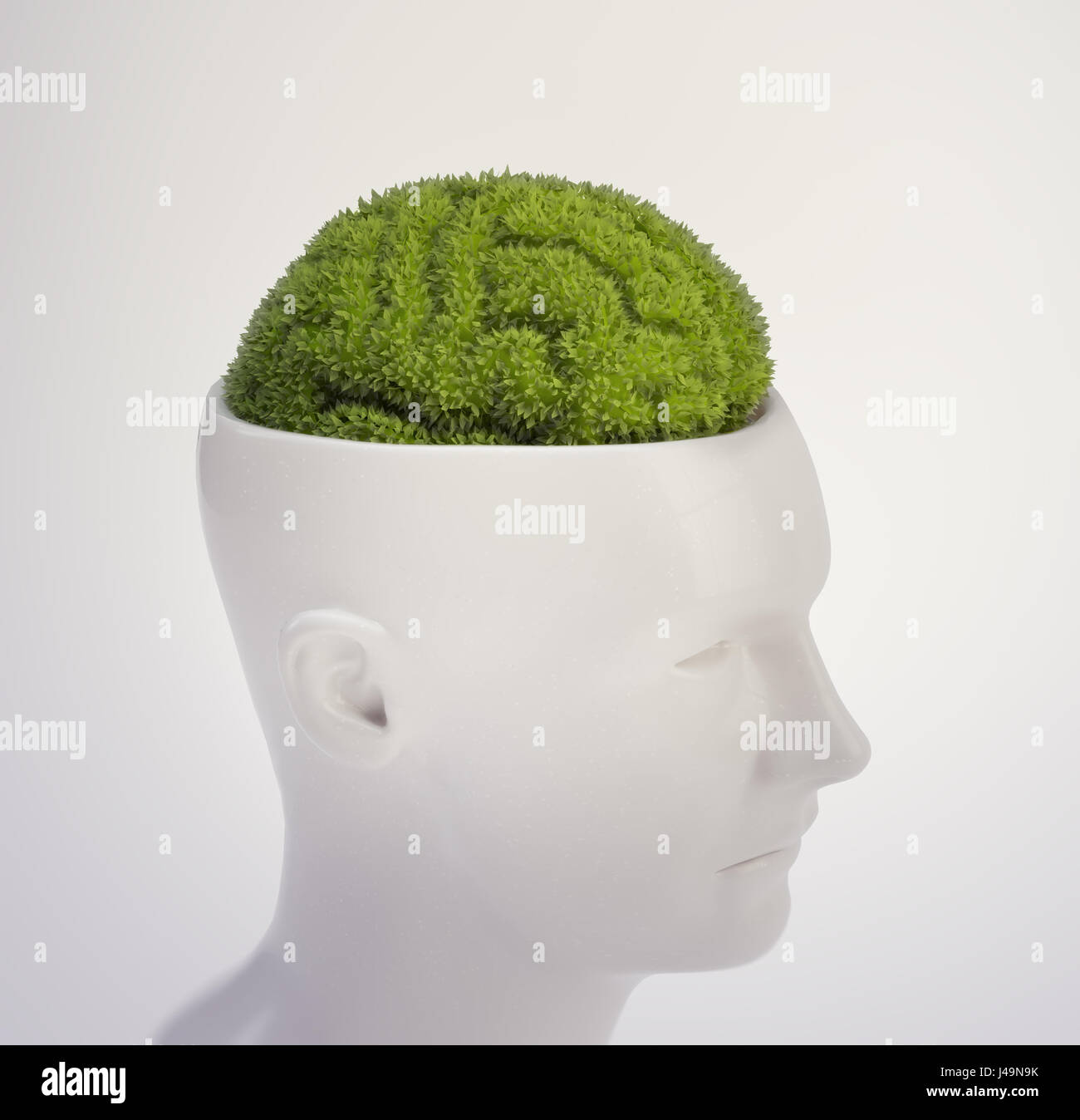 Plant shaped like a human brain intelligence and memory concept 3D